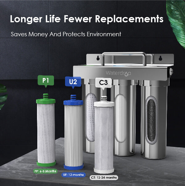 Ultra-long Lifespan