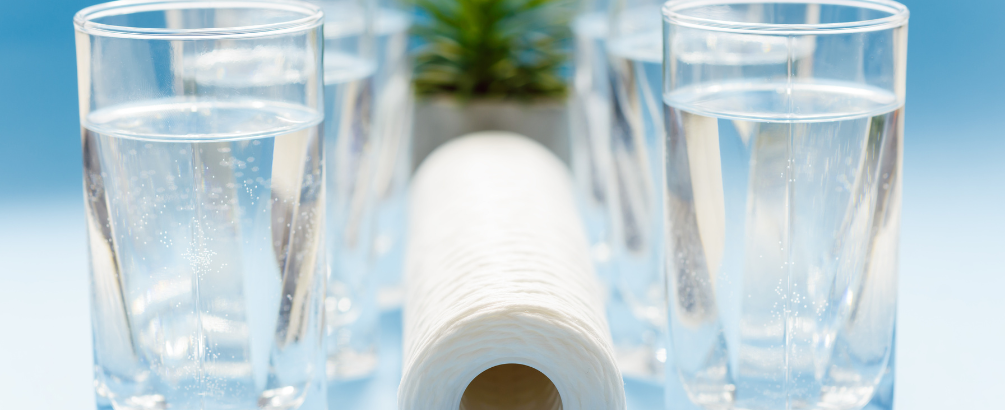 Best Whole Home Water Filter Systems in Canada