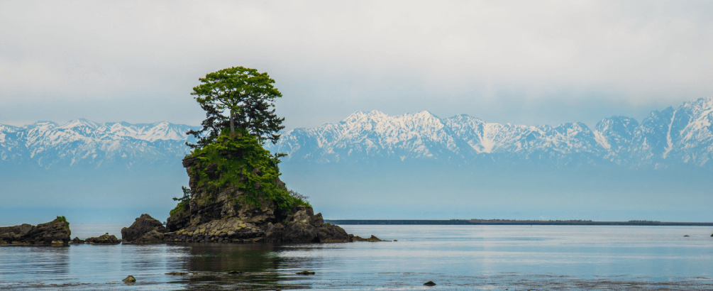 What Is Brackish Water and How Do You Treat It?