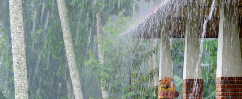 Is It Okay to Drink Rainwater? Here Is the Truth