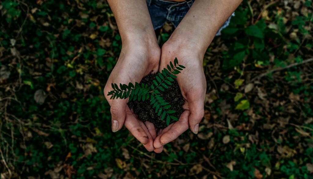 America Recycles Day: How Best To Recycle Your Water Filter