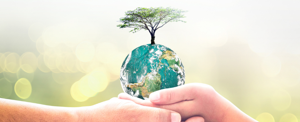 The Environmental Aspects of Reverse Osmosis Water Filtration Systems