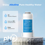 Replacement Filter for Countertop Electric Water Pitcher ED01A