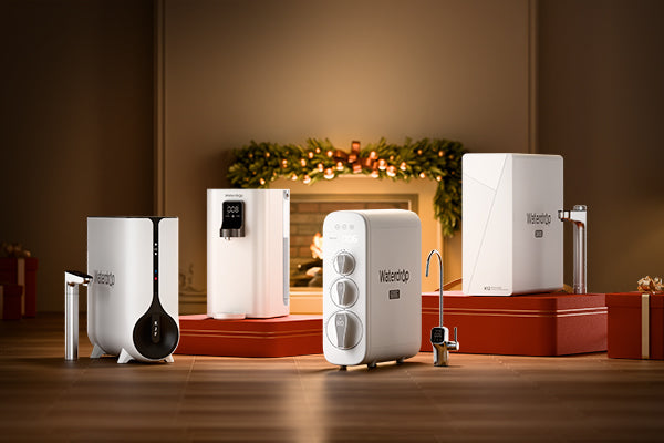 Early Bird Black Friday