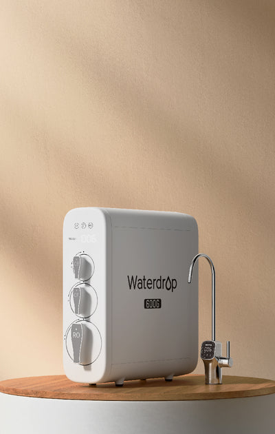 G3P600