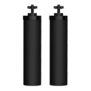 Carbon Filter