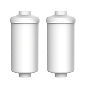 Flouride Filter (Optional)