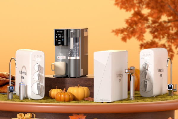 Thanksgiving Sale