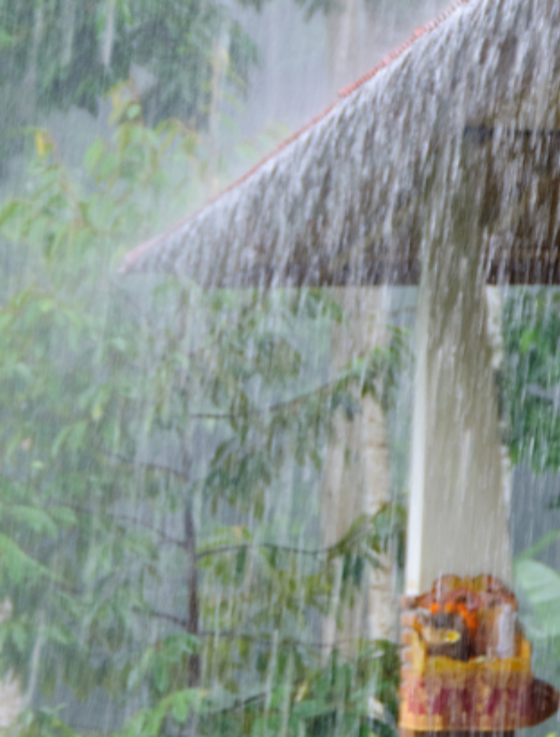 Is It Okay to Drink Rainwater? Here Is the Truth