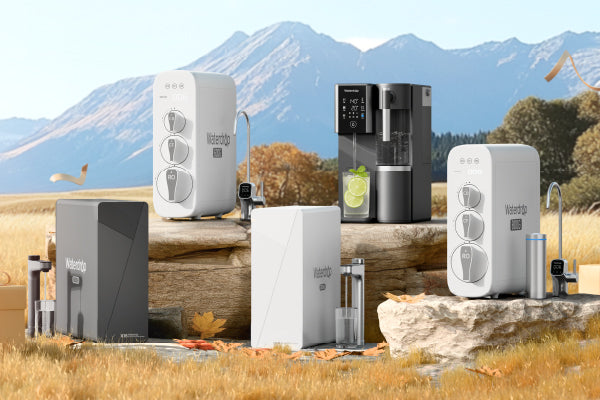 Fall Flash Sale