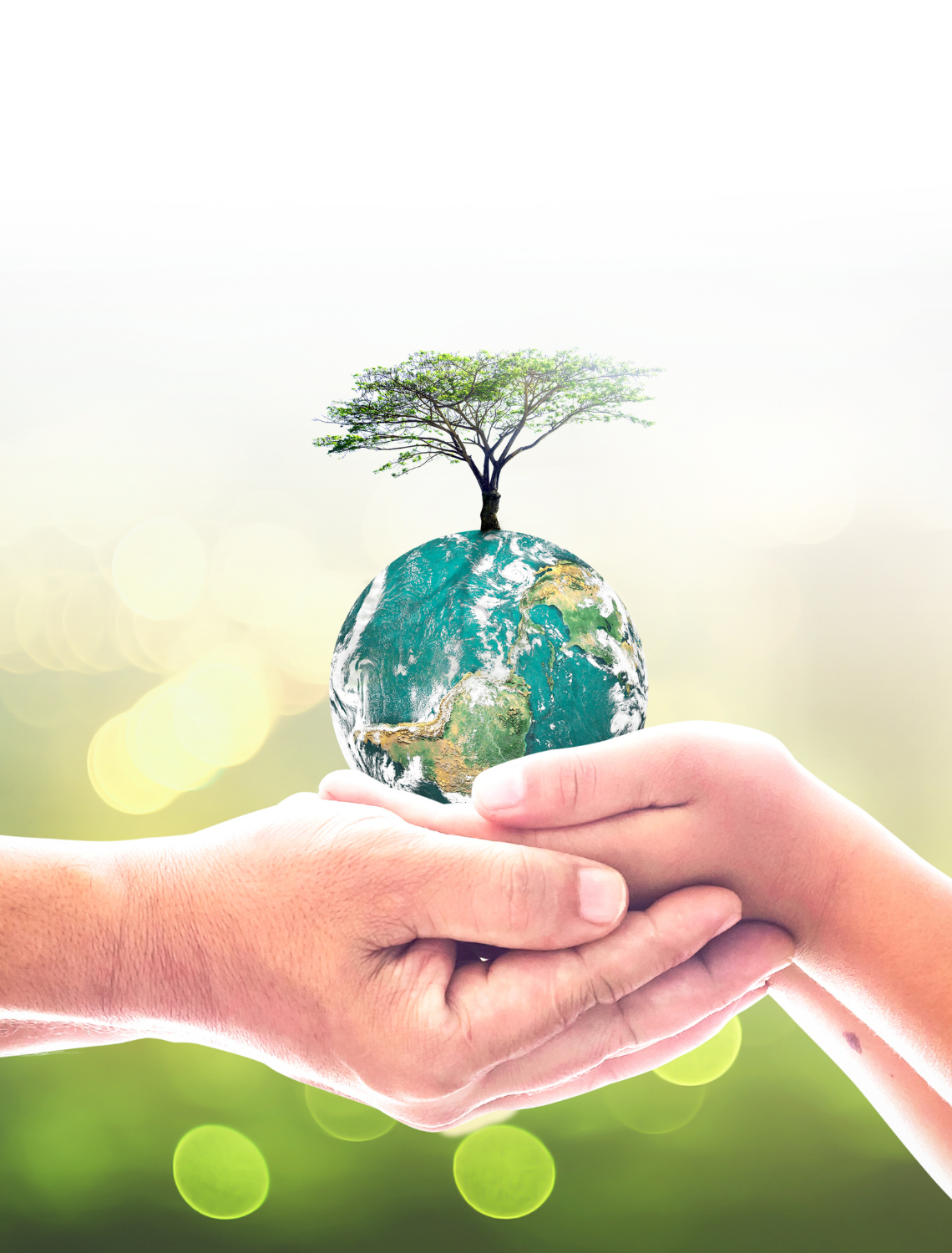 The Environmental Aspects of Reverse Osmosis Water Filtration Systems