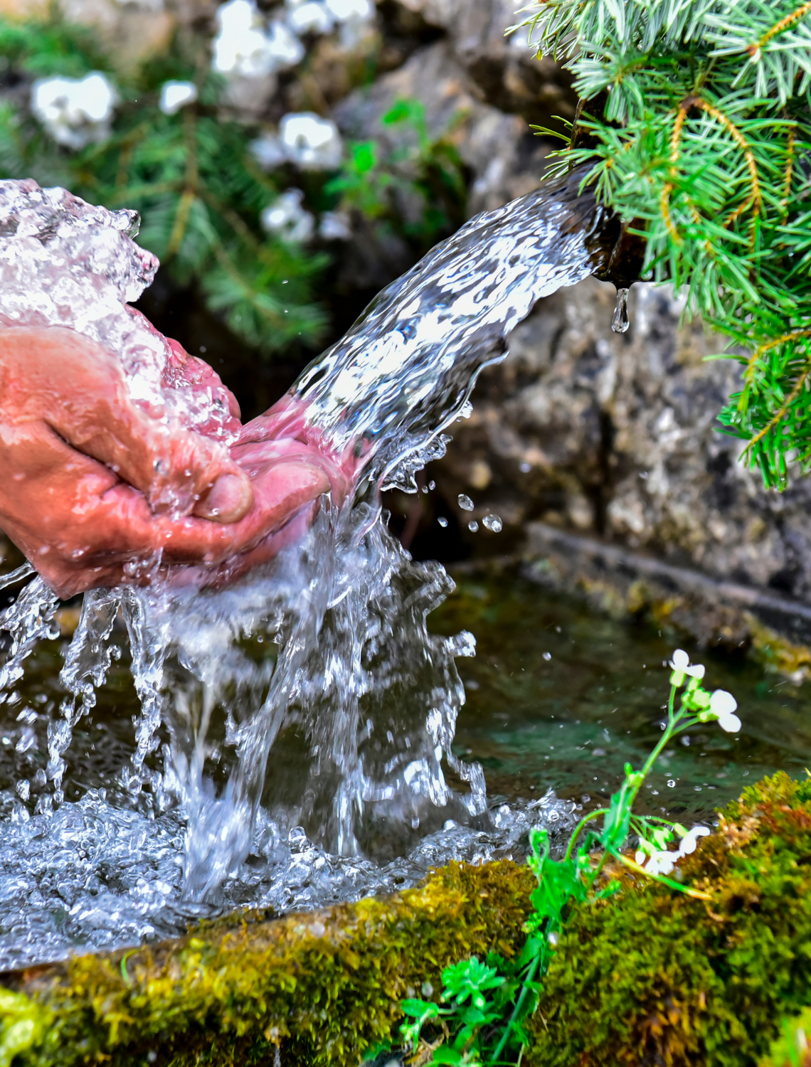 What is Spring Water?